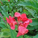  , , 60  -  25  2016    &quot; &quot; 2016