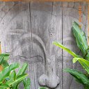    -  ,  -  8  2017    2014.  Zazen.  12-.