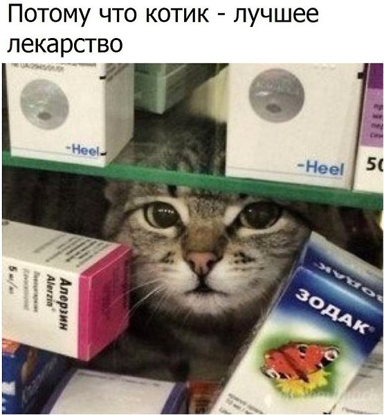  - 4  2017  00:37