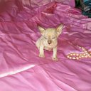 ���� �������, ��������� - ��������� 10 ������� 2016 � ������ ���� ����������