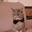 ���� ��������, ���������, 35 ��� - ��������� 10 ������� 2017 � ������ ������ ��������