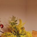 ���� ��������, �������, 55 ��� - ��������� 12 ������ 2017 � ������ ������ ��������