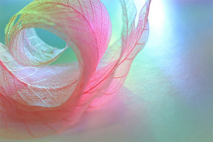 ))).    Shihya Kowatari