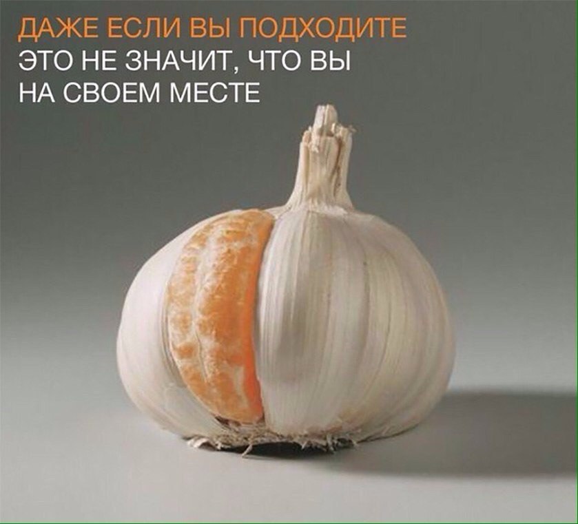    - 18  2017  15:42