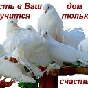 ���� ��������, ������� - ��������� 15 ������ 2016 � ������ ������ ��������