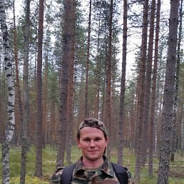 ���� ������, �����-���������, 48 ��� - ��������� 14 ������� 2017