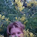 ���� �������, ����, 58 ��� - ��������� 11 ����� 2017 � ������ ���� ����������