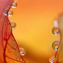 ���� ����, ������ - ��������� 18 �������� 2016 � ������ ���� ����������