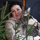  ,  , 62  -  21  2016    