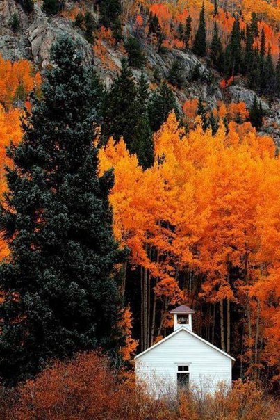   ,       ,  ,  ... - 4