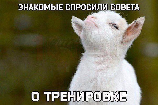       - 3