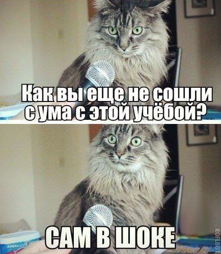    :D - 13  2016  19:42