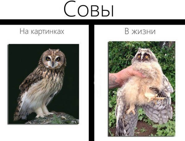  - 9  2016  23:04