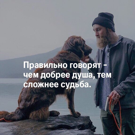  | ,  - 3  2017  05:26