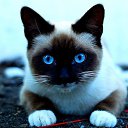 ���� ����, ����, 29 ��� - ��������� 18 �������� 2016 � ������ ������ ��������