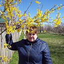 ���� Aleksandr, ��������� - ��������� 2 ������ 2017 � ������ ����� 29 - 31. 2017 �.�
