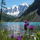  , -, 53  -  7  2016    .