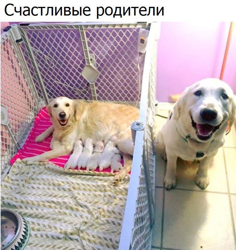  - 2  2017  13:44