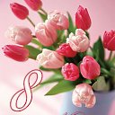  Nadjie, , 65  -  8  2017    