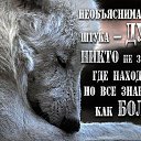 ���� ������, ������������ - ��������� 4 ������ 2016 � ������ ������ ��������
