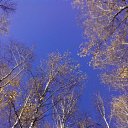 ���� �������, ���� - ��������� 9 ������� 2016 � ������ ���� ����������