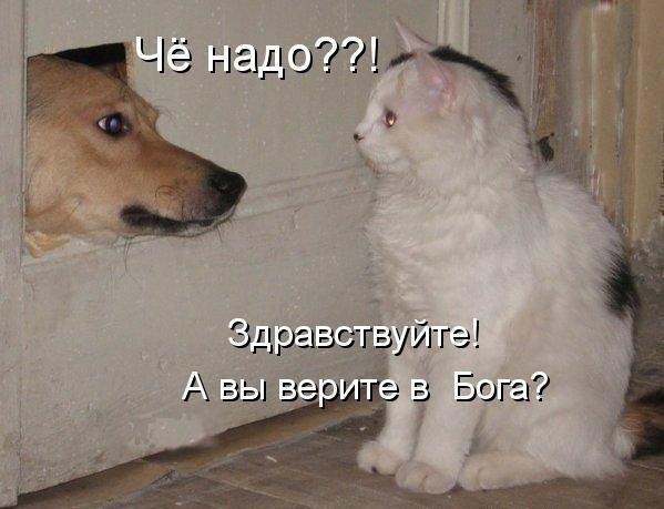    :D - 5  2016  03:01