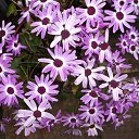 ���� Valera, �����������, 84 ���� - ��������� 22 �������� 2016 � ������ ���� ����������