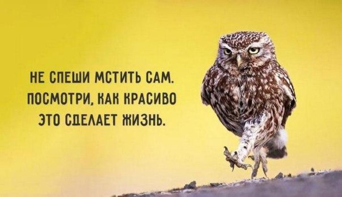    . - 5