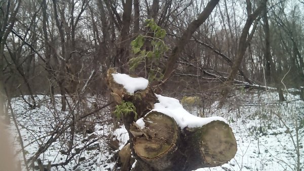 ���� ������� - 27 ������ 2016 � 17:34 - 5