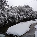  , , 60  -  3  2017     ,28.01.17.