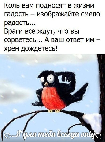  - 7  2016  09:05