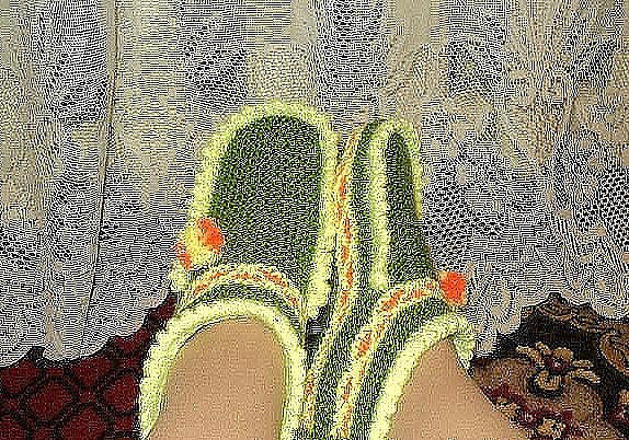 ОРИГИНАЛЬНЫЕ ТАПОЧКИ СПИЦАМИ. ОПИСАНИЕ Набрать.на спицы 51 петлю тёмной нитью, провязать 8 рядов ... - 2
