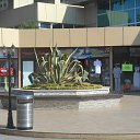  , , 62  -  30  2016   Topface