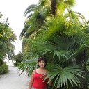 ���� ������, ������, 62 ���� - ��������� 24 ����� 2017 � ������ ���������� ������