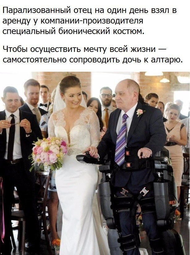   :    - 29  2017  20:37