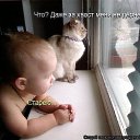 ���� �������, �������, 62 ���� - ��������� 19 ������ 2017 � ������ ���� ����������