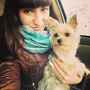 ���� �������, �����������, 29 ��� - ��������� 14 ����� 2017 � ������ ���� ����������