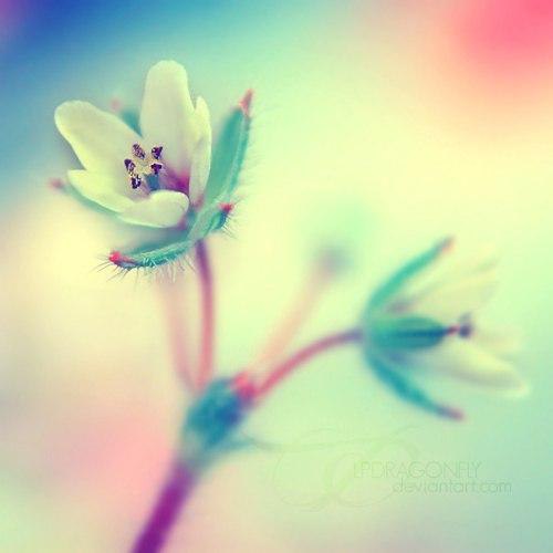 С женщиной трудно достигнуть баланса, Женщина соткана вся из нюансов. Заманчивый вид, сексуальна ... - 5