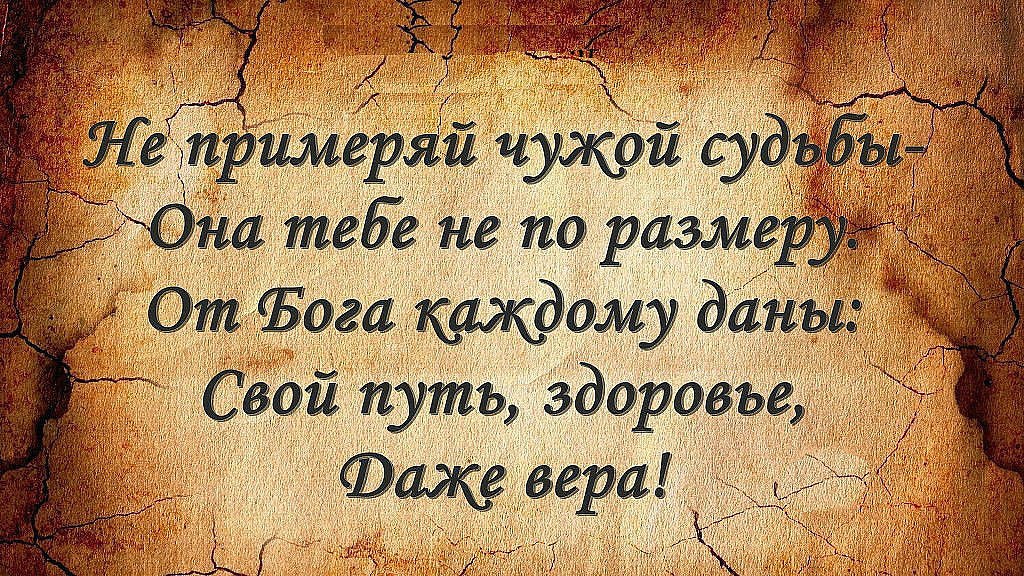  - 8  2016  13:02