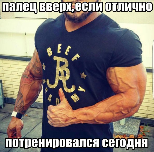  -   - 25  2016  22:41