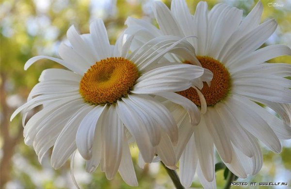  ! - 1  2016  21:53 - 5