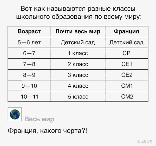      . - 6