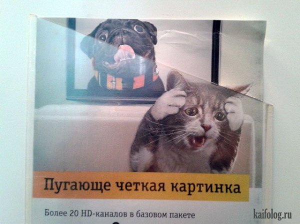 ��� ��������, ������� - ��������� ��������. ��������, � ���������� ���������� ����������. ���� �� ... - 18