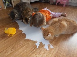 �����������