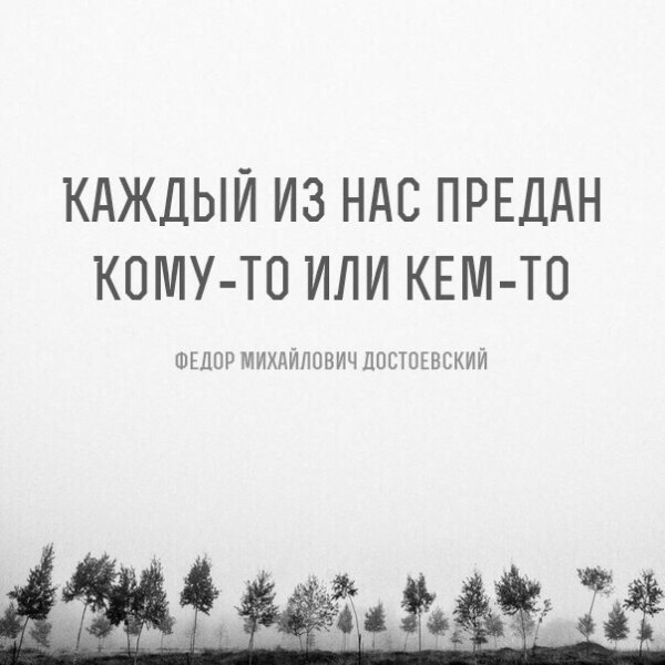  | ,  - 5  2017  03:28