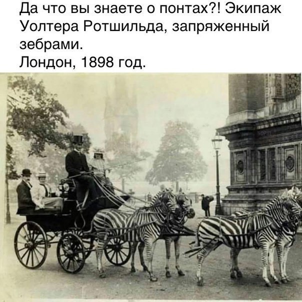  .. - 17  2017  10:54