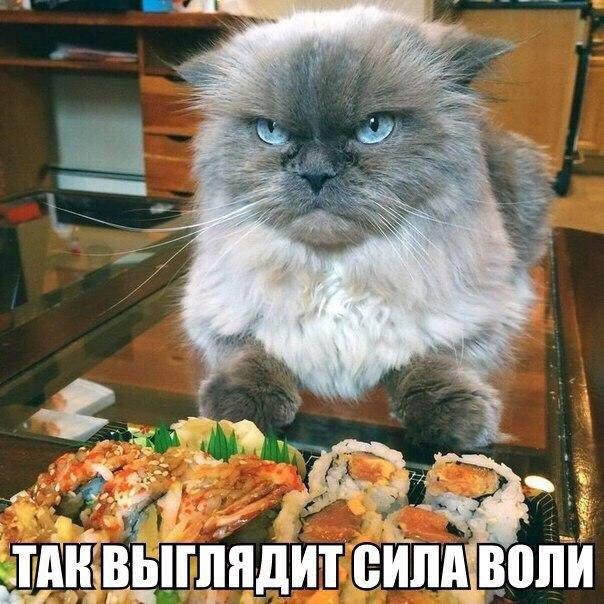    :-) - 16  2017  14:33