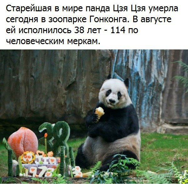  - 5  2017  19:06