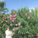 ���� �����, ������ - ��������� 20 ������� 2016 � ������ ��������/�������2016�