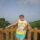  , , 60  -  17  2017   , 